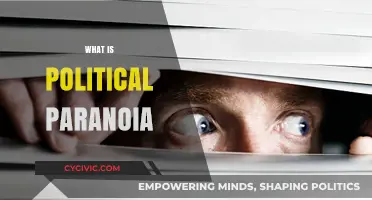 Understanding Political Paranoia: Causes, Effects, and Societal Implications Explained
