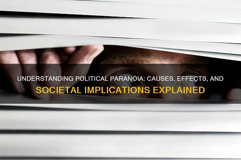 what is political paranoia