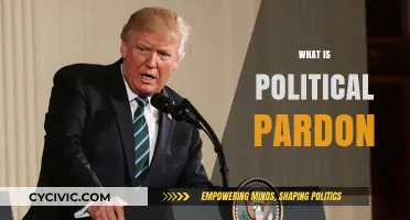 Understanding Political Pardons: Power, Process, and Implications Explained