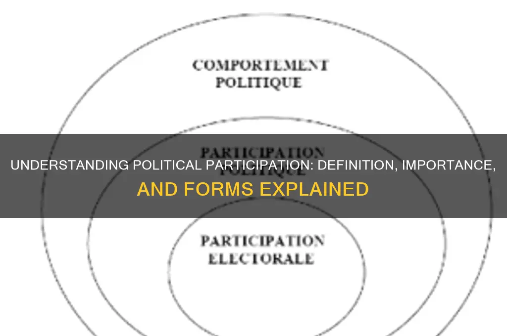 what is political participation definition