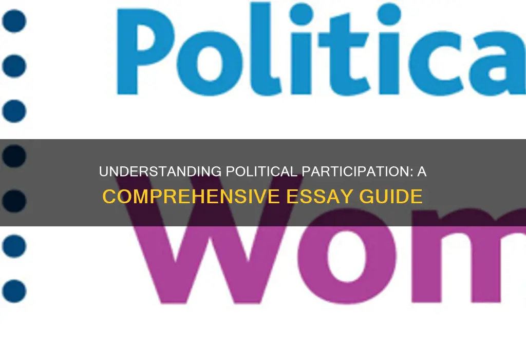 what is political participation essay