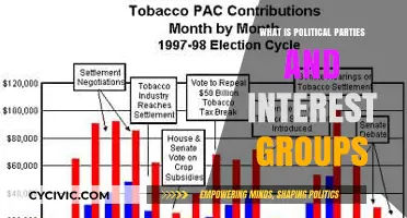 Understanding Political Parties and Interest Groups: Roles, Influence, and Impact