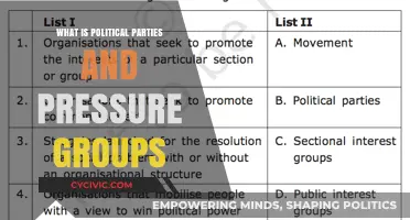 Understanding Political Parties and Pressure Groups: Roles, Influence, and Impact
