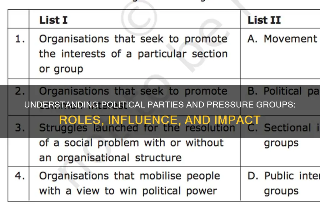 what is political parties and pressure groups