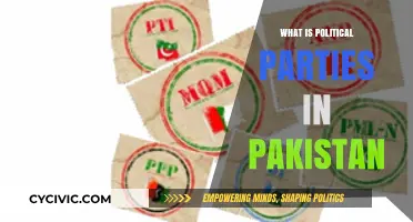 Understanding Pakistan's Political Parties: Structure, Influence, and Role in Governance