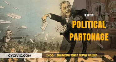 Understanding Political Patronage: Power, Influence, and Public Sector Appointments