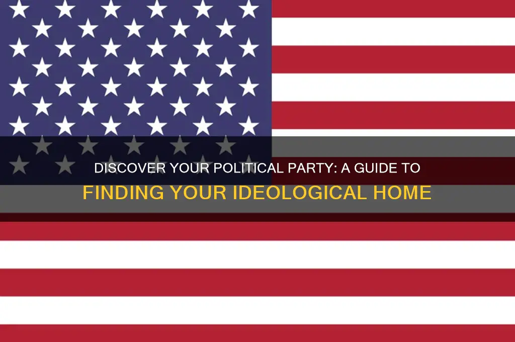 what is political party am i