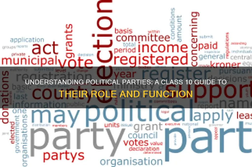what is political party class 10