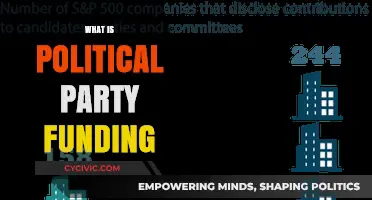 Understanding Political Party Funding: Sources, Transparency, and Influence Explained