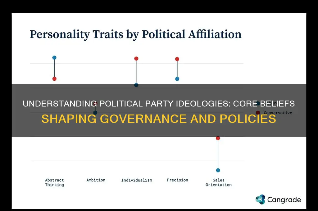 what is political party ideology