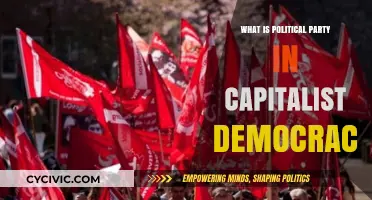 Understanding Political Parties in Capitalist Democracies: Roles and Influence
