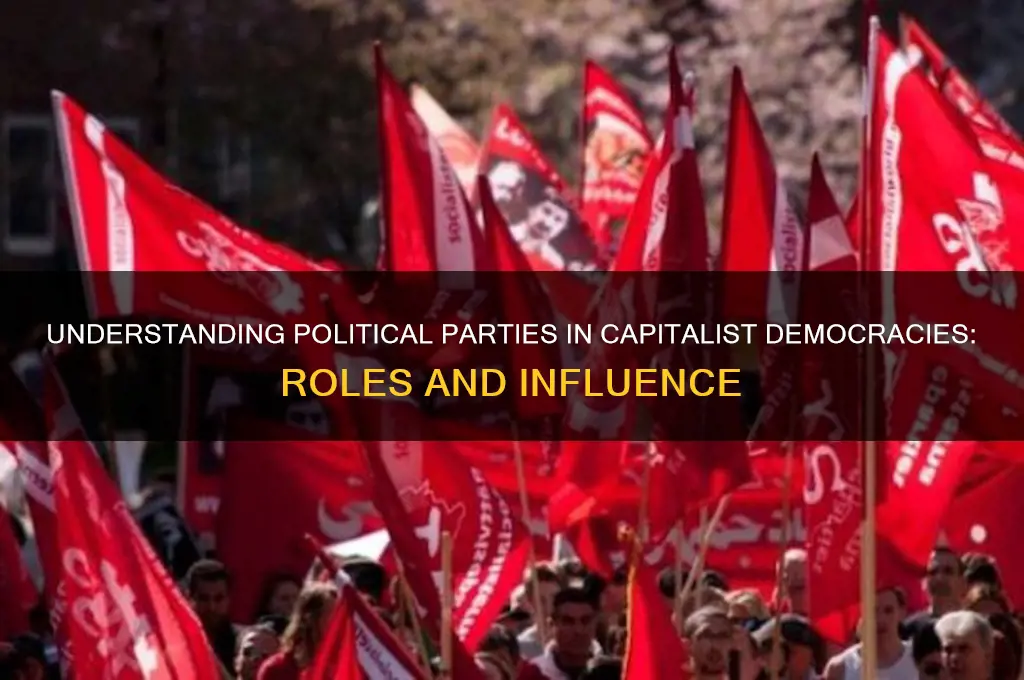 what is political party in capitalist democracy