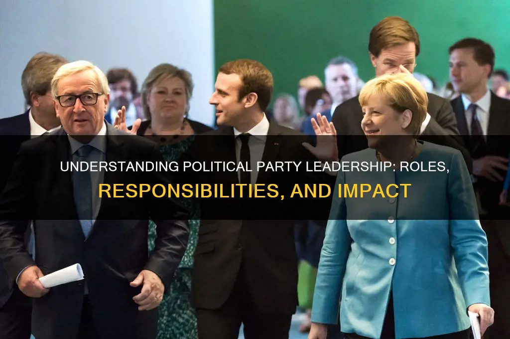 what is political party leadership