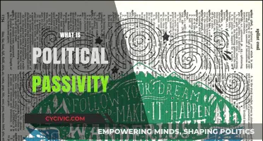 Understanding Political Passivity: Causes, Consequences, and Civic Engagement Decline