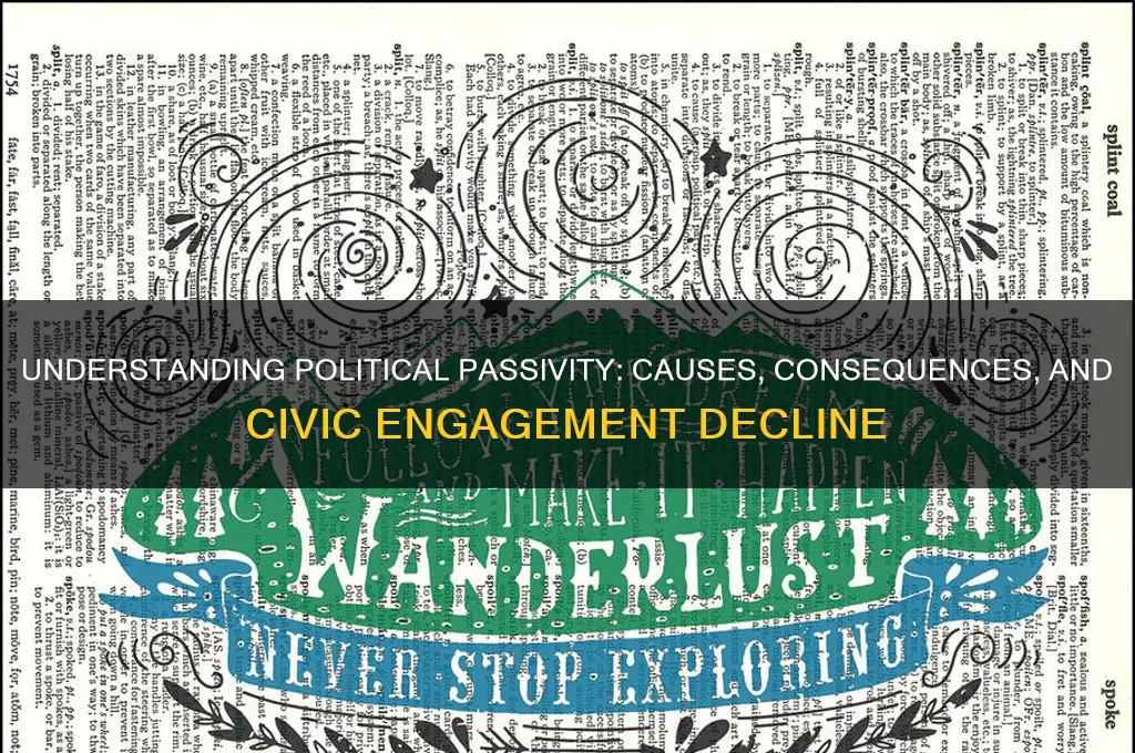 what is political passivity