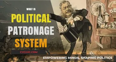 Understanding the Political Patronage System: A Comprehensive Guide