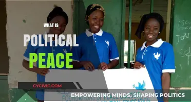 Understanding Political Peace: Foundations, Challenges, and Global Implications