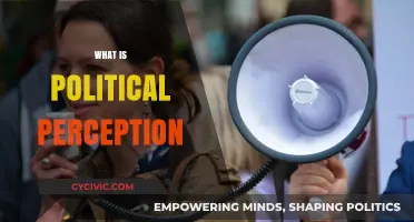 Understanding Political Perception: Shaping Public Opinion and Policy Decisions