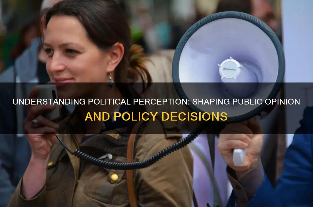 what is political perception