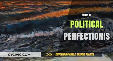 Understanding Political Perfectionism: Ideals, Ethics, and Governance Explained