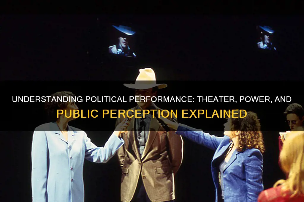 what is political performance