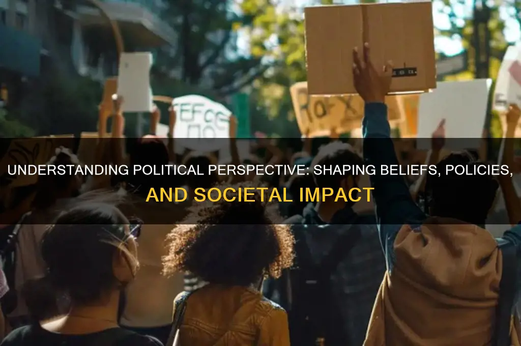 what is political perspective