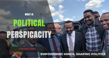 Understanding Political Perspicacity: Navigating Complexities with Strategic Insight