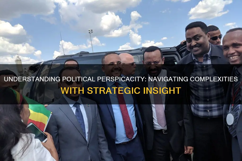 what is political perspicacity