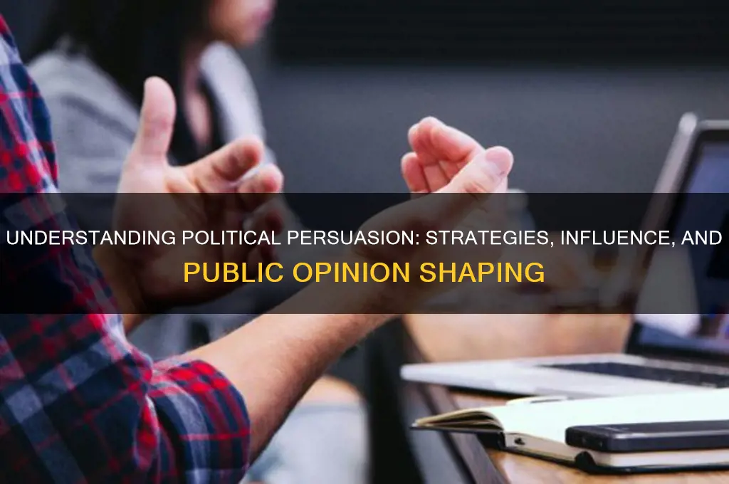 what is political persuasion