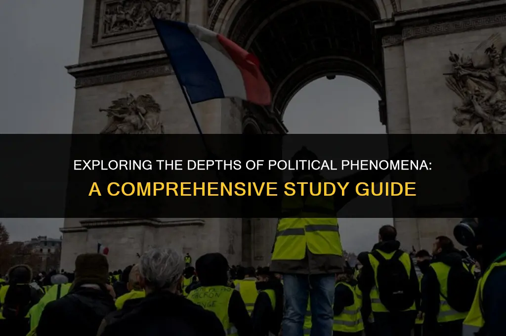 what is political phenomenon and how it can be studied