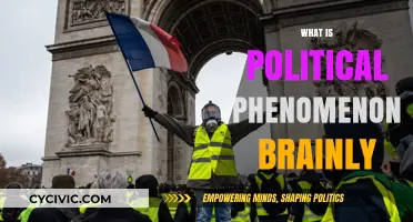Understanding Political Phenomena: A Comprehensive Brainly Guide