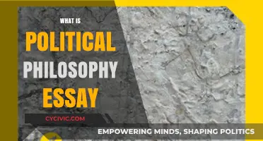 Exploring Political Philosophy: Understanding Society, Power, and Governance in Essays