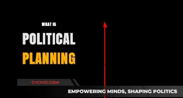 Understanding Political Planning: Strategies, Impact, and Public Policy Development