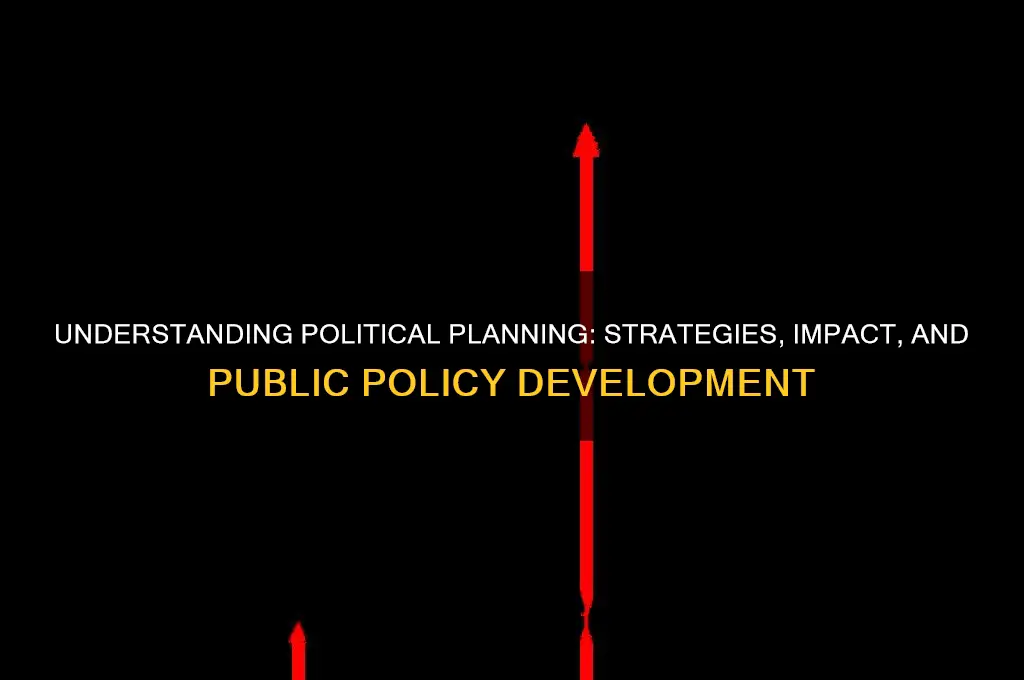 what is political planning