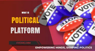 Understanding Political Platforms: Core Principles and Policies Explained