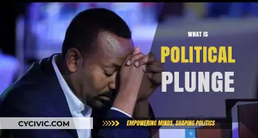 Understanding the Political Plunge: Causes, Impact, and Global Implications