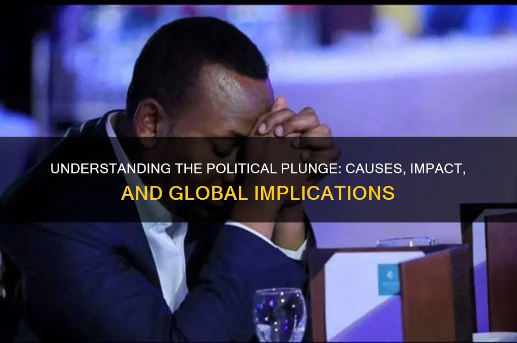 what is political plunge