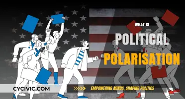 Understanding Political Polarization: Causes, Effects, and Bridging the Divide