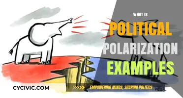 Understanding Political Polarization: Causes, Examples, and Societal Impacts