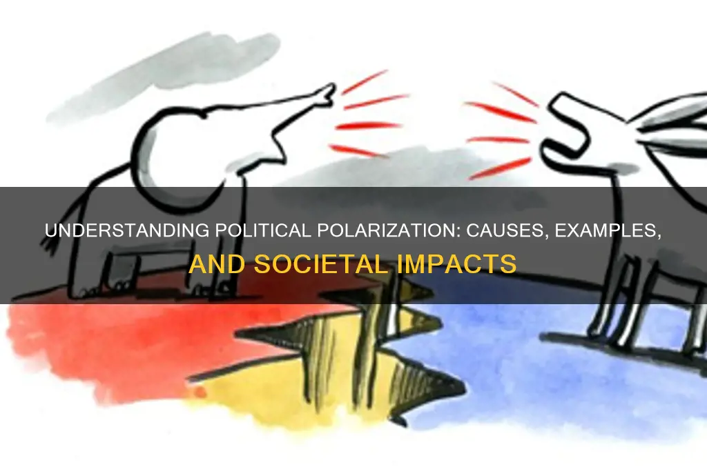 what is political polarization examples