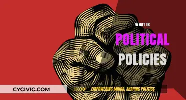 Understanding Political Policies: Foundations, Impact, and Shaping Society
