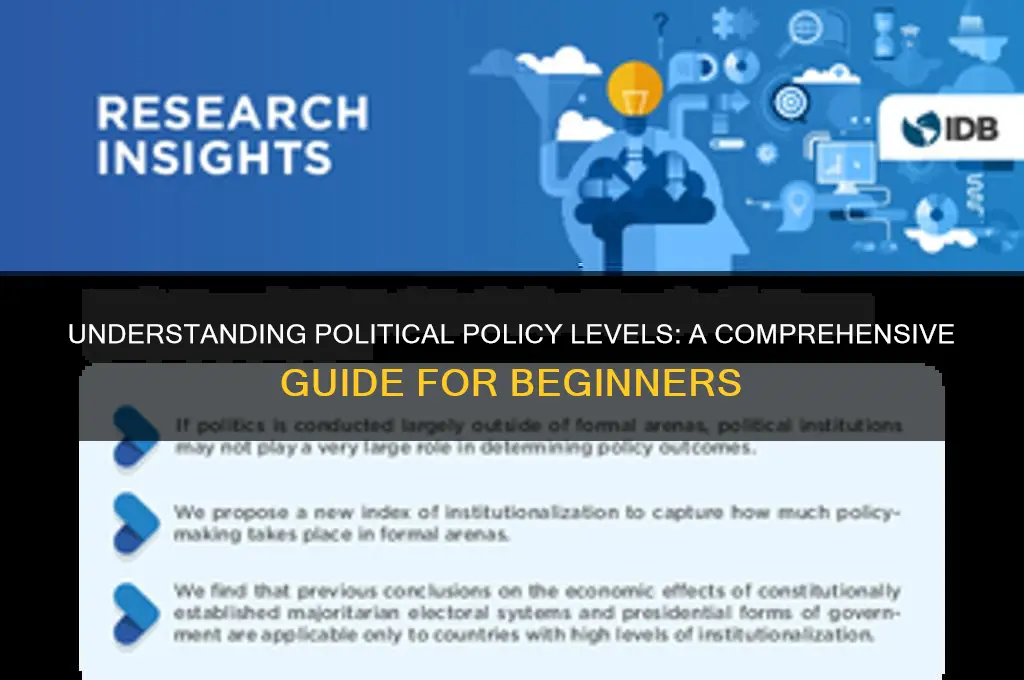 what is political policy level