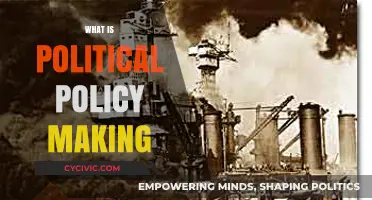 Understanding Political Policy Making: Processes, Players, and Impact