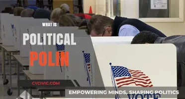 Understanding Political Poling: Methods, Impact, and Role in Democracy