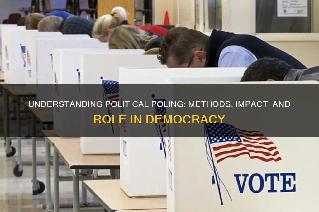 what is political polin