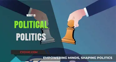 Understanding Political Politics: Power, Governance, and Societal Dynamics Explained