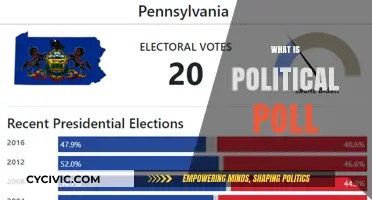 Understanding Political Polls: Purpose, Process, and Impact on Elections