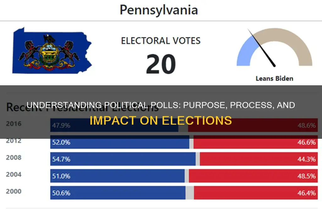 what is political poll