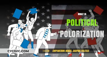 Understanding Political Polarization: Causes, Effects, and Bridging the Divide