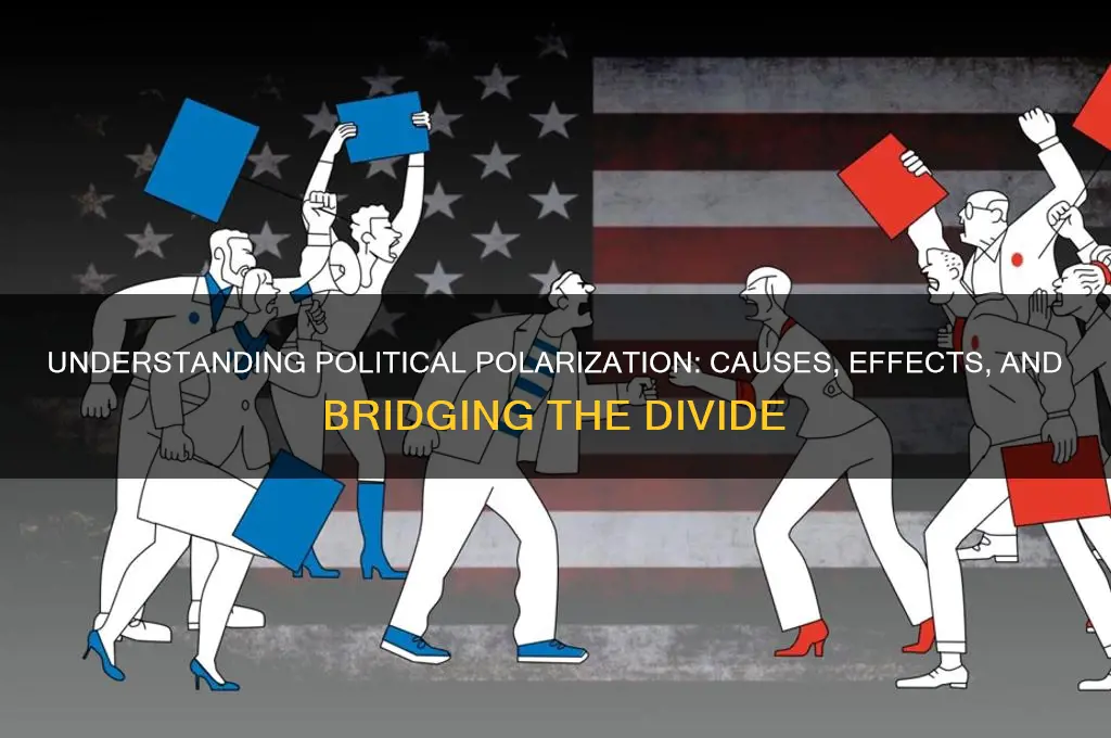 what is political polorization